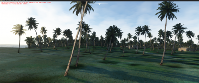 ugly palm trees.png