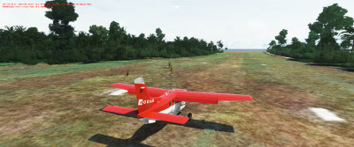 denis island people on the airstrip.png