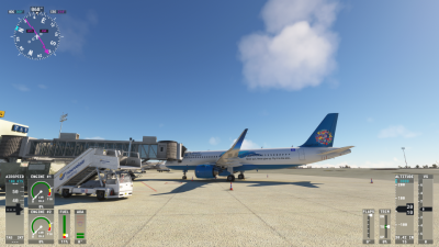 Microsoft Flight Simulator 03.02.2024 14_04_29.png