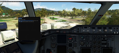 Microsoft Flight Simulator 2_7_2024 12_23_44 AM.jpeg
